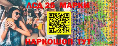 СК Можга