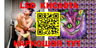 гидра Моздок